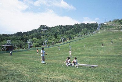 GrassSKI