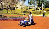 BatteryCARS
