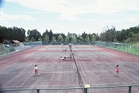Tenis