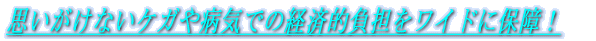 vȂPKaCł̌oϓISChɕۏI 