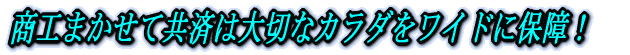 H܂ċς͑؂ȃJ_ChɕۏI